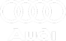 audi icon