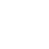 bmw logo